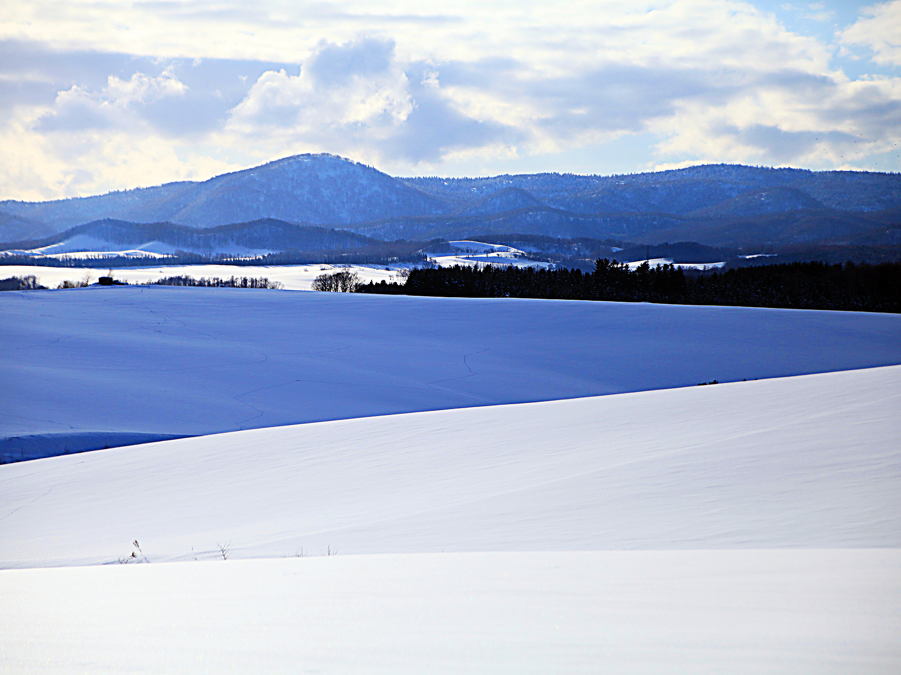 富良野　冬の風景